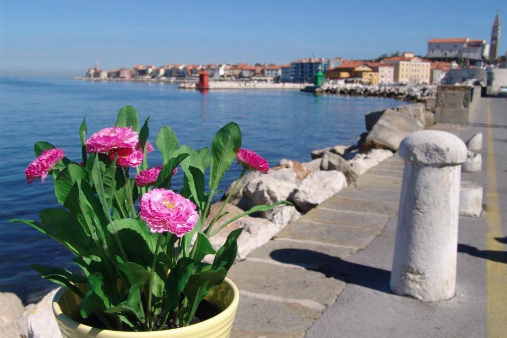Apartments Piran Exterior foto